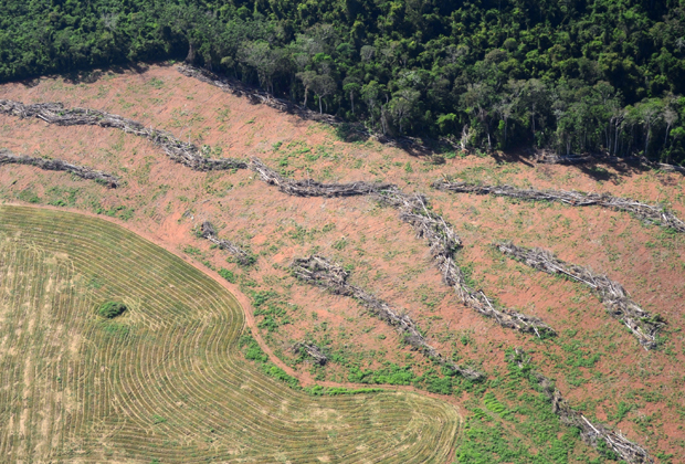 Desmatamento em área da Amazônia, no Pará