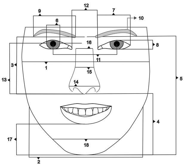 Figura mostra as variáveis morfométricas da face que foram medidas. Imagem cedida