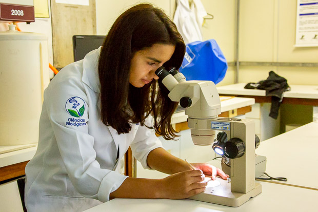 Com uso de lupa, a universitária Taís Araújo faz a contagem de ovos de Aedes na palheta de eucatex.